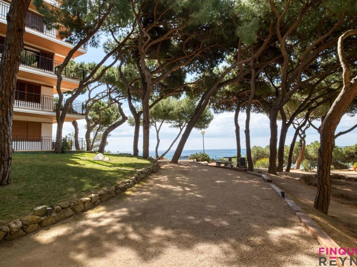 Apartament Cavall Bernat Platja d'Aro Hiszpania